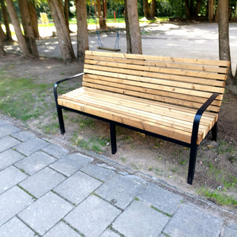 Lauko suoliukai Šilutės rajonas Metalo plazma nuotrauka 15