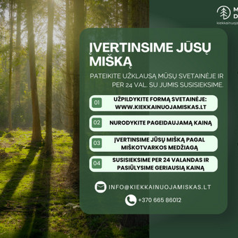 Kaunas Socialinių tinklų marketingas nuotrauka 5 Socialinių tinklų komunikacijos strategijos kūrimas Kaunas Socialinių tinklų marketingas nuotrauka 5