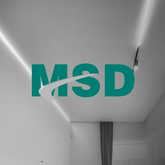 MSD Premijum lubu plėvelė (Kinija) Vilnius Lubų Imperija nuotrauka 6