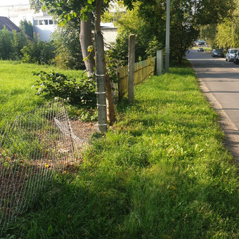 Žolės pjovimas Kaunas Žoliukas nuotrauka 1