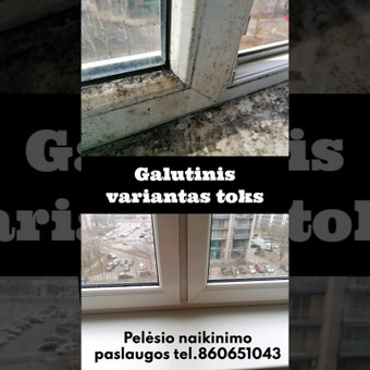 Pelėsio naikinimas, šalinimas, valymas iš langų, lango rėmo, angokraščių ir stiklų Vilnius PelėsioNaikinimasSalinimas.lt nuotrauka 18