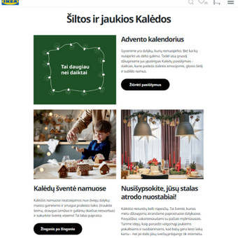 Programavimas su Laravel (PHP) Klaipėda UAB "OiGreat" nuotrauka 12