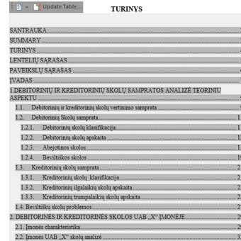 Turinio sudarymas Šiauliai PagalbaStudentams nuotrauka 10