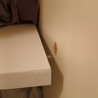 Daiktų kabinimas Klaipėda Sergejus nuotrauka 8