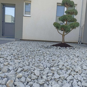Augalų ir medelių sodinimas Kaunas GeoMax nuotrauka 3