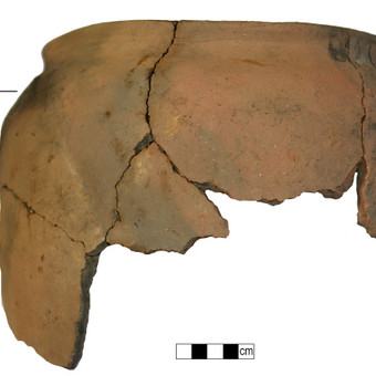 Archeologinių tyrimų pažymos Panevėžys Dovilas Petrulis nuotrauka 5