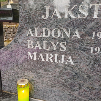 Raidžių ir portretų kalimas ant paminklo Vilnius Paminklita, Aivaras nuotrauka 4