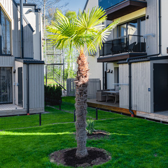 Žalia kopa namukas su šildomu lauko baseinu (58 m²) įsikūręs miško apsuptyje, kuriame gali ilsėtis iki 8 asmenų. Čia poilsį ras visi, kurie vertina gamtos grožį, ramybę, saugumą, pabudus nori išgi Palanga aiste mitkeviciene nuotrauka 4 Namelio nuoma prie jūros su baseinu Palanga aiste mitkeviciene nuotrauka 4