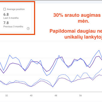 SEO straipsnių rašymas Vilnius Mantas Tamošaitis nuotrauka 1