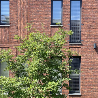 Rengiame remonto, rekonstravimo projektus ir aprašus. Klaipėda Urbanistinė architektūra nuotrauka 9 Rekonstrukcijos, kapitalinio remonto projektavimas Klaipėda Urbanistinė architektūra nuotrauka 9