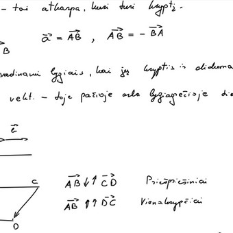 Matematikos mokymas grupėje Vilnius Dominykas Daunys nuotrauka 1
