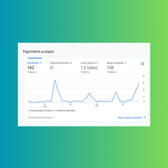 SEO optimizavimas Vilnius Karolina Kolyčiūtė nuotrauka 2