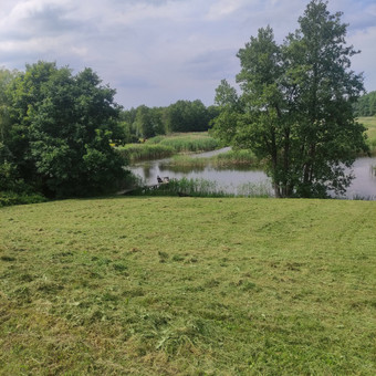 Žolės pjovimas Marijampolė Vejos Sala M.B nuotrauka 1