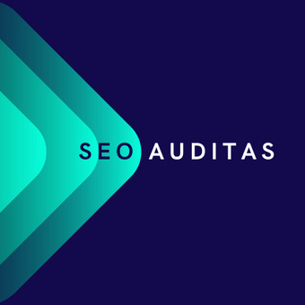 SEO auditas Vilnius Karolina Kolyčiūtė nuotrauka 4