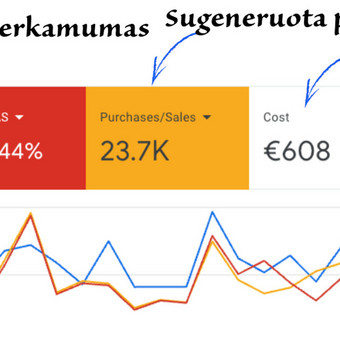 Google Ads reklama Vilnius Reklamos Liūtas nuotrauka 6