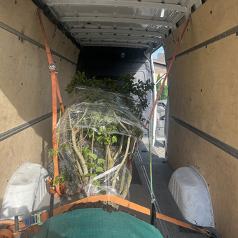 Negabaritinių krovinių gabenimas Vilnius Boguva Transport nuotrauka 2