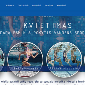 Svetainių talpinimas. Elektroninis paštas. Kasdienis atsarginių kopijų kūrimas. Kaunas Jonas nuotrauka 3 Svetainių talpinimas (Hosting) Kaunas Jonas nuotrauka 3