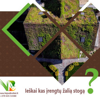 Žalio Stogo Įrengimas Vilnius Vejos Broliai nuotrauka 7
