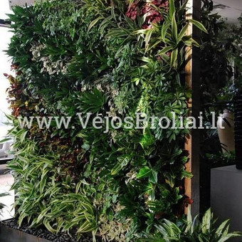 Kraštovaizdžio detalės Vilnius Vejos Broliai nuotrauka 8