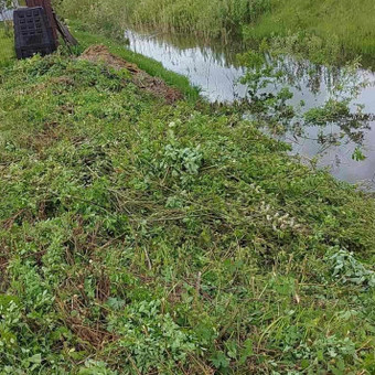 Pievų šienavimas Klaipėda Sodo idilė nuotrauka 2