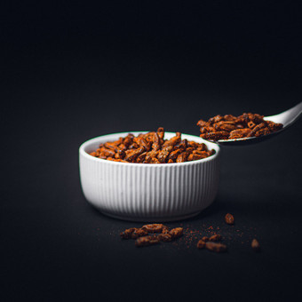 Edukacija - Degustacija Marijampolė TASTIK CRICKETS nuotrauka 1