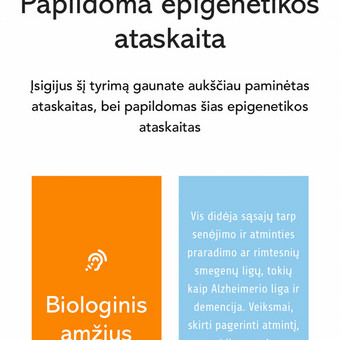Svetainių dizainas (web design) Vilnius MB REKA GROUP nuotrauka 1
