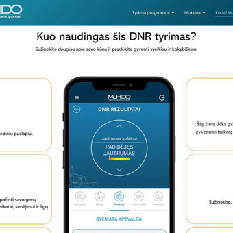 Svetainės perkelimas į Wordpress Vilnius MB REKA GROUP nuotrauka 9