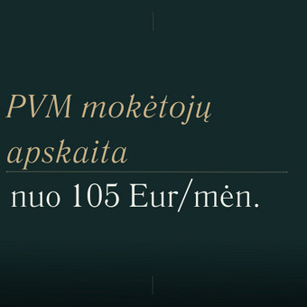 PVM mokėtojų finansinė apskaita Vilnius Joana nuotrauka 6