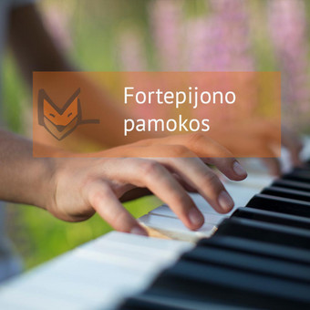 Fortepijono pamokos Vilnius Muzikinio ugdymo studija „MUZIKALI LAPĖ“ nuotrauka 2