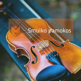Smuiko pamokos Vilnius Muzikinio ugdymo studija „MUZIKALI LAPĖ“ nuotrauka 4