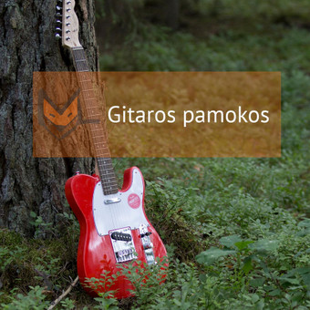 Gitaros pamokos Vilnius Muzikinio ugdymo studija „MUZIKALI LAPĖ“ nuotrauka 3