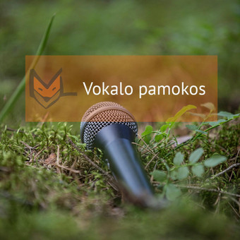 Privačios vokalo pamokos Vilnius Muzikinio ugdymo studija „MUZIKALI LAPĖ“ nuotrauka 1