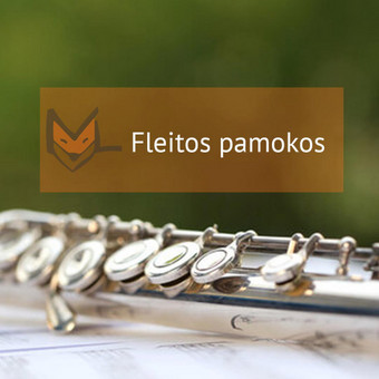 Fleitos pamokos Vilnius Muzikinio ugdymo studija „MUZIKALI LAPĖ“ nuotrauka 7