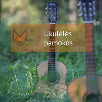 Ukulėlės pamokos Vilnius Muzikinio ugdymo studija „MUZIKALI LAPĖ“ nuotrauka 6