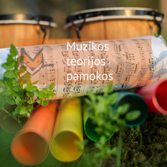 Muzikos teorijos pamokos Vilnius Muzikinio ugdymo studija „MUZIKALI LAPĖ“ nuotrauka 8