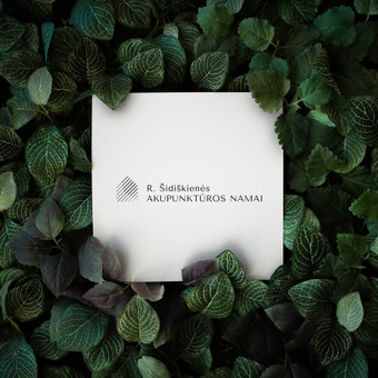 Logotipų kūrimas Mažeikių rajonas Nendri design studio nuotrauka 6