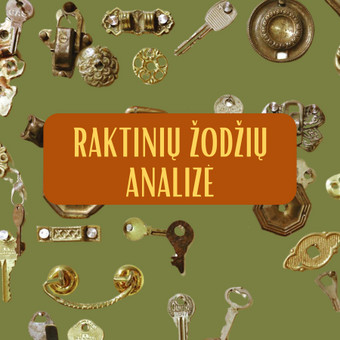 Raktinių žodžių analizė Kaunas Greta nuotrauka 2