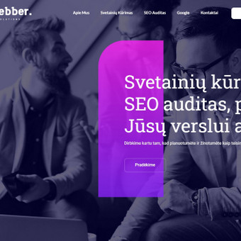 Vidinis SEO auditas Klaipėda Webber. nuotrauka 3