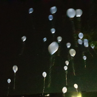 Lempučių nuoma Kaunas Floristinis Fonas nuotrauka 12