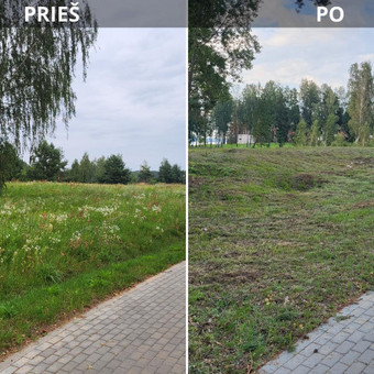 Pievų šienavimas Kaunas Ovidijus nuotrauka 3