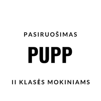 Ruošiu II gimnazijos klasės moksleivius pagrindinio ugdymo pasiekimų patikrinimui - PUPP. Vilnius Nerijus nuotrauka 21 Pasiruošimas PUPP Vilnius Nerijus nuotrauka 21