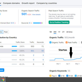 SEO optimizavimas Klaipėda Edvinas SEO nuotrauka 3