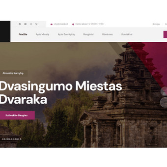 Svetainių kūrimas Šiauliai MB "Improvega" nuotrauka 4