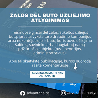 Žalos dėl užlieto / aplieto buto atlyginimas Kaunas Martynas Antanaitis nuotrauka 20