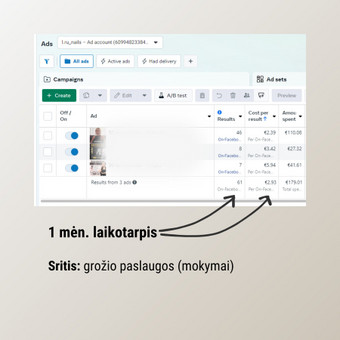 Skaitmeninės reklamos auditas ir strategijos parengimas Kaunas Vaiva Jankūnaitė nuotrauka 5