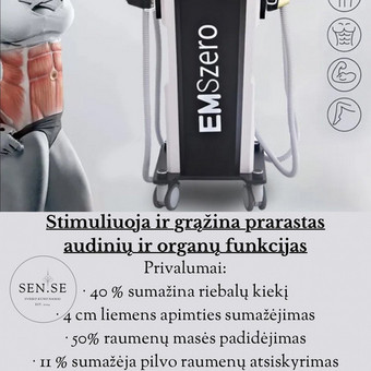 EMS ZERO elektrostimuliacija raumenims Kauno rajonas SEN.SE sveiko kūno namai nuotrauka 3