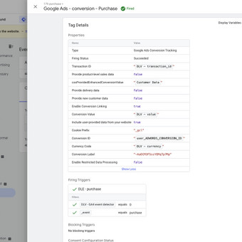 Google Tag Manager konfigūracija Vilnius Mindaugas Kalnius nuotrauka 7