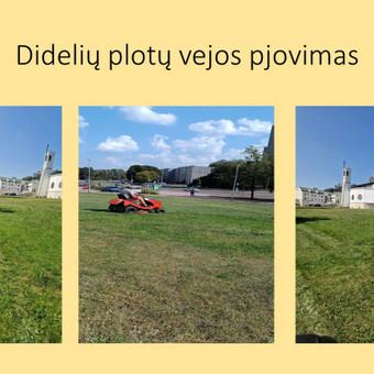 Didelių plotų žolės pjovimas Vilnius Adomas / IĮ Švara nuo A iki Z nuotrauka 14