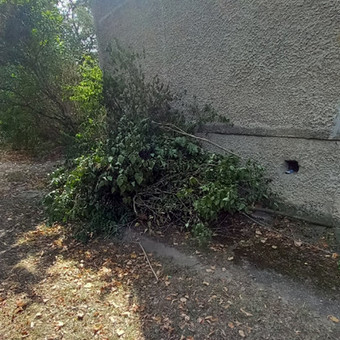Senos buitines technikos isvezimas Kaunas Siuksliu isvezimas Griovimo darbai nuotrauka 10