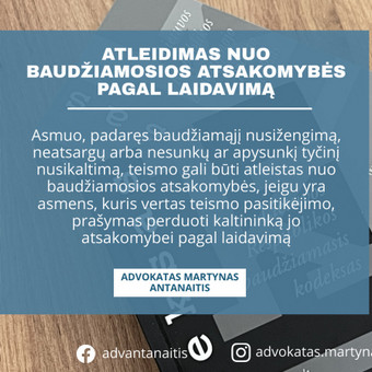 Baudžiamosios teisės paslaugos Kaunas Martynas Antanaitis nuotrauka 3